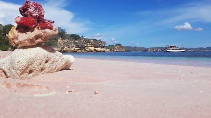 Tak Perlu Jauh Ke Bahamas Ini Pantai Pasir Pink Di Indonesia