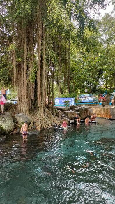 Sejuknya Umbul Sigedang Kapilaler Di Klaten Wisata Mata Air Jernih