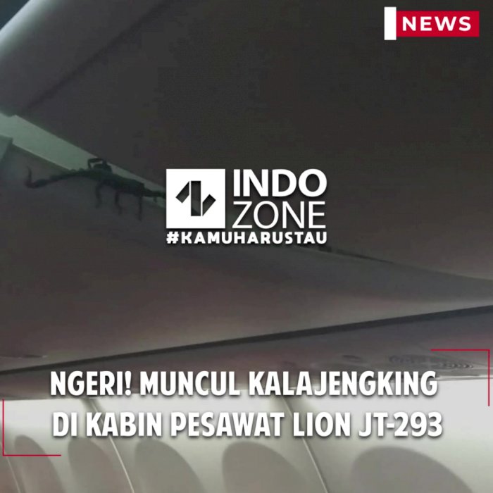 Ngeri! Muncul Kalajengking di Kabin Pesawat Lion Air JT-293