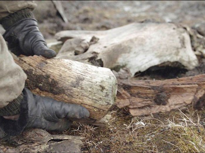Pabrik Senjata Kuno Berumur 10.000 Tahun Ditemukan di Siberia