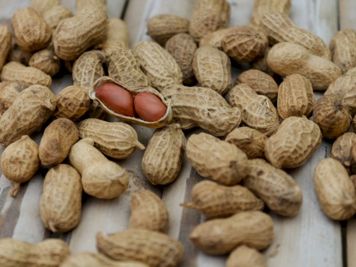 5 Manfaat Konsumsi Kacang Bagi Kesehatan