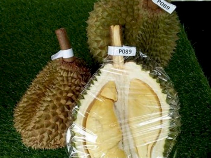 P089, Jenis Durian Baru di Malaysia yang Lebih Enak dari Musang King