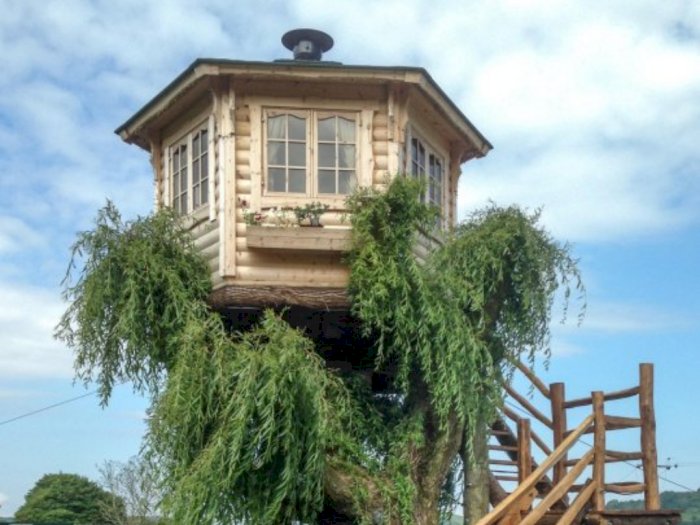 Seorang Kakek Menghabiskan $10.000 untuk Membangun Rumah Pohon 