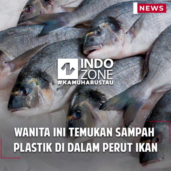 Wanita ini Temukan Sampah Plastik di Dalam Perut Ikan
