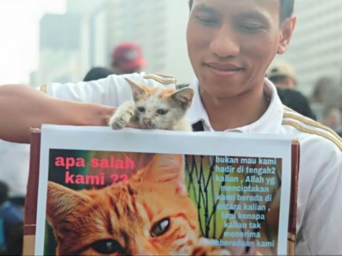 'KPK' Mengajak Warga Untuk Berhenti Siksa Kucing
