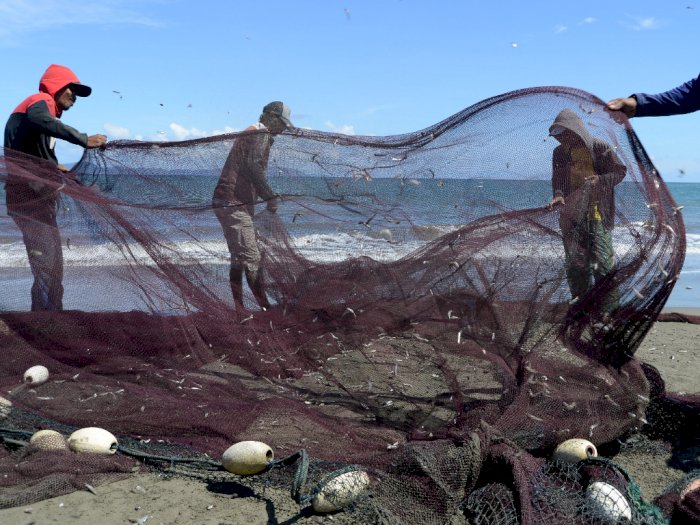 Viral Ikan Terdampar di Badung, Berkaitan dengan Gempa Bali?
