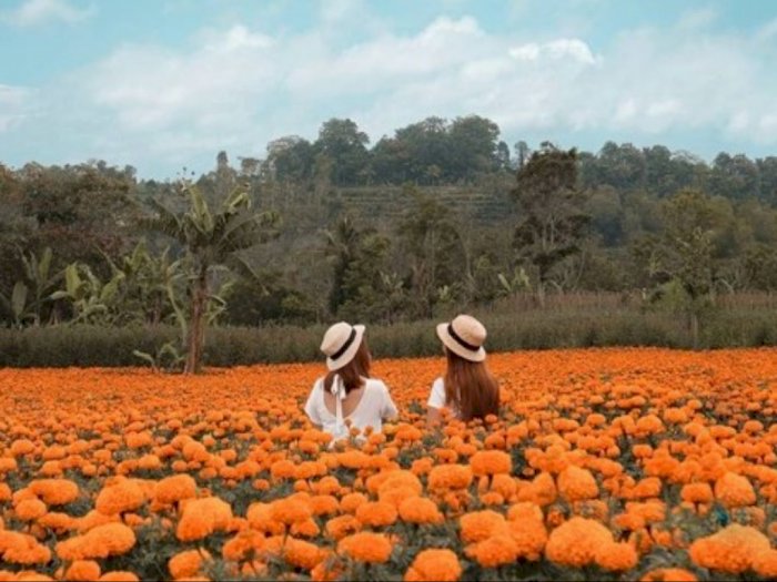 Inilah Wisata Taman Bunga di Indonesia yang Instagramable