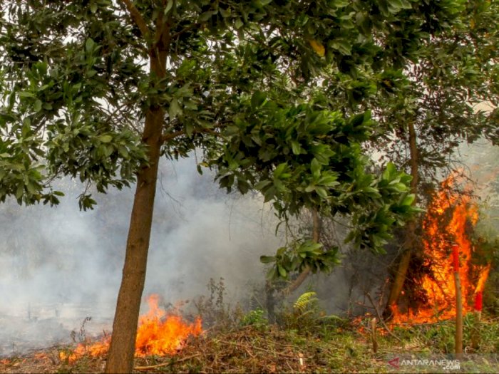 Sepekan ke Depan, Sejumlah Negara ASEAN Berpotensi Mudah Terbakar