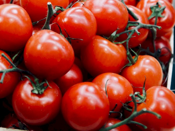 Benarkah Tomat Bisa Bikin Mr P Tambah Besar? Ini Penjelasannya