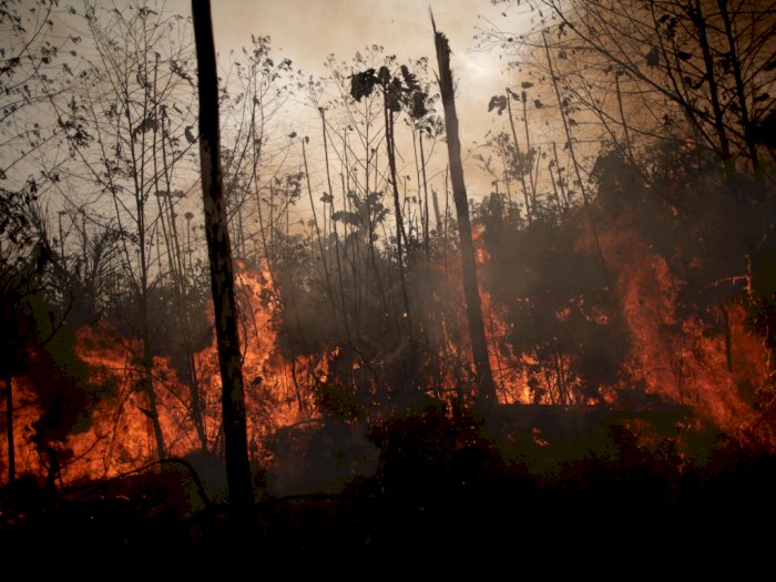 Tentara Bakal Dikerahkan untuk Bantu Memadamkan Kebakaran di Amazon