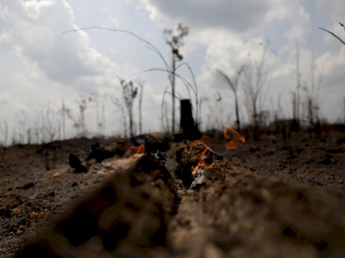 Problematika Kebakaran Hutan Hujan Amazon