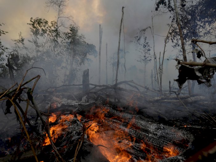 Brasil Tolak Bantuan Negara G7 Soal Kebakaran di Hutan Amazon