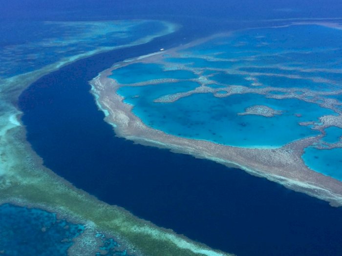 FOTO: Pesona Great Barrier Reef, Barisan Terumbu Karang di Australia