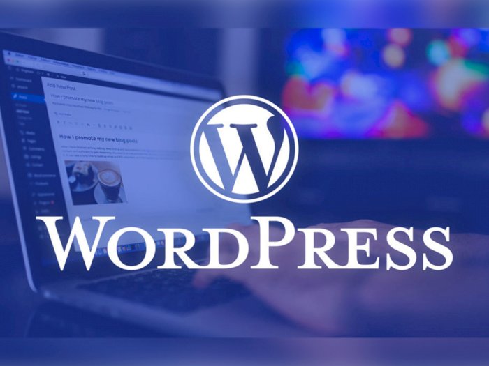 Sekelompok Hacker Berhasil Temukan Celah di Situs Wordpress