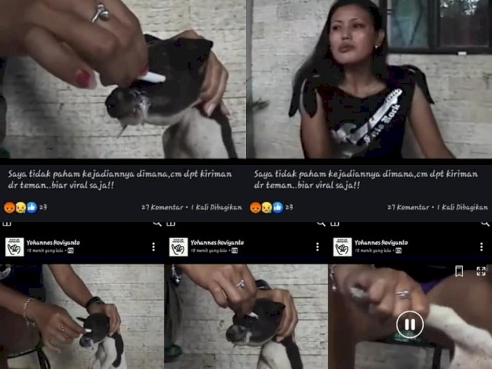 Netizen Buru Wanita Yang Sundut Mata Anjing Dengan Hadiah Rp 10 Juta