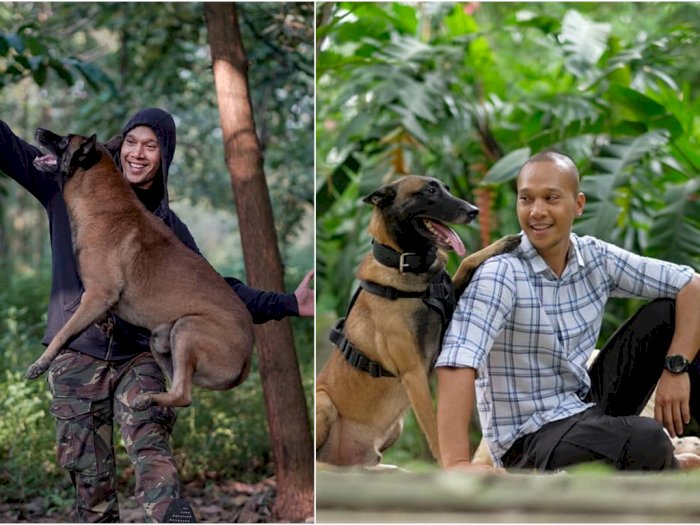 Kronologi Anjing Milik Bima Aryo Tewaskan ART di Jakarta Timur