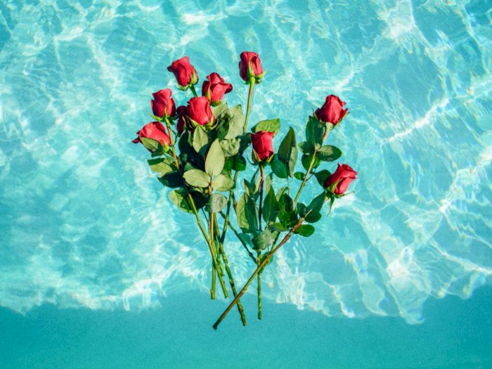 Inilah 5 Manfaat Air Mawar untuk Kecantikan Kulit