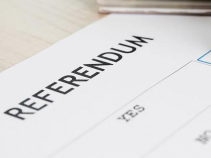 Arti Referendum, Jenis dan Fungsinya