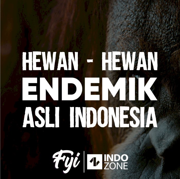 Hewan - Hewan Endemik Asli Indonesia