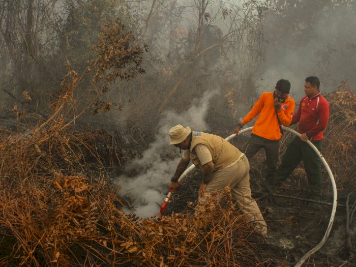 Tiga Terduga Pembakar Hutan Taman Nasional Tesso Nilo Ditangkap