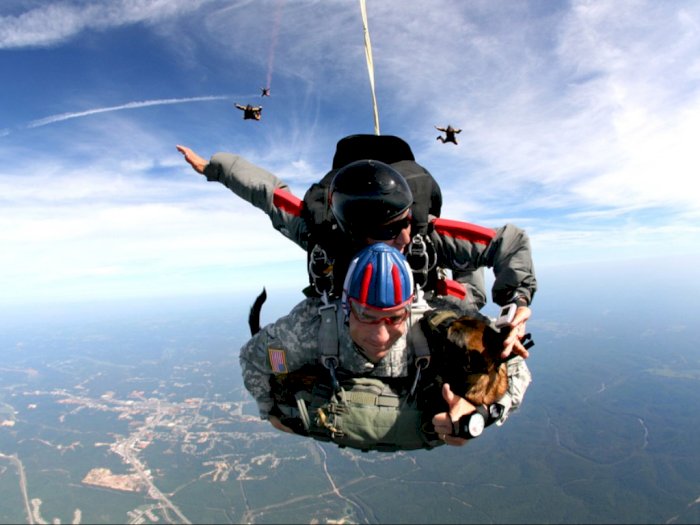 Seram, Para Skydiver Hampir Bersenggolan Dengan Jet Tempur