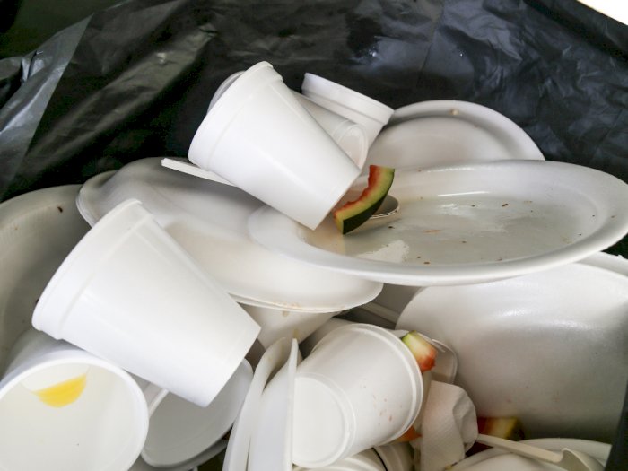 Ini Cara Mengatasi Sampah Styrofoam Agar Tidak Membahayakan Lingkungan