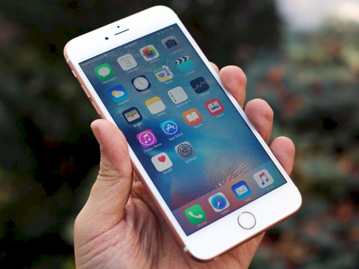 Jatuh Dari Pesawat & Hilang Selama 1 Tahun, iPhone 6S Masih Berfungsi