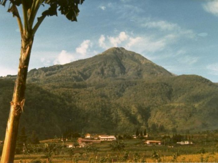 Kisah Horor Pendaki Gunung di Indonesia