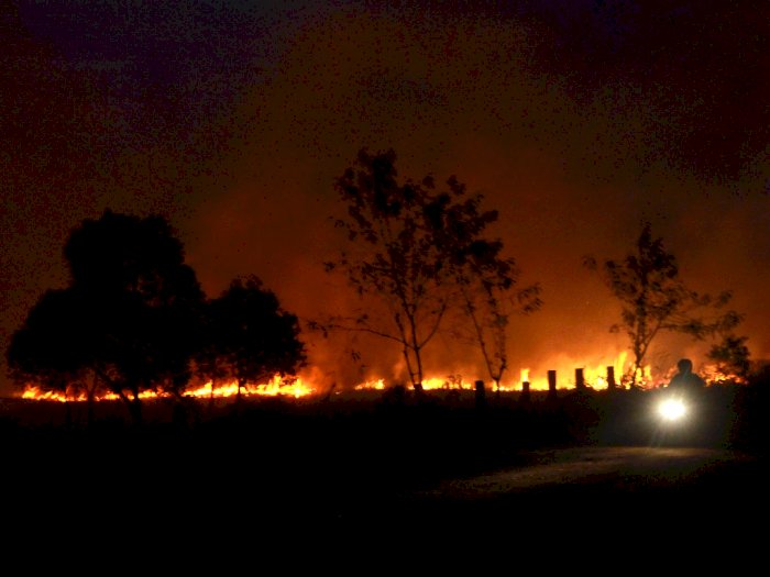 Termasuk Kawah Putih,  Kebakaran Lahan di Bandung Tembus 241 Hektare