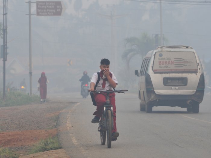 Tangani Perubahan Iklim, Indonesia Bikin Badan Kelola Dana Lingkungan