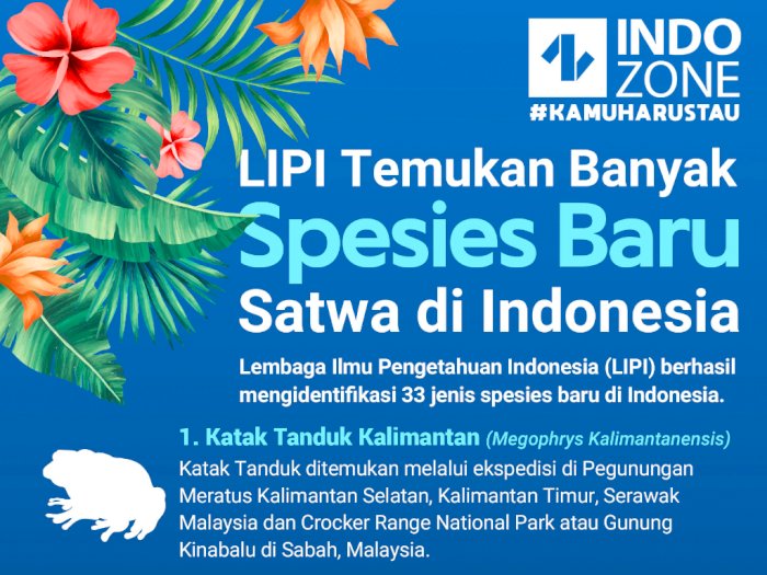 LIPI Temukan Banyak Spesies Baru di Indonesia