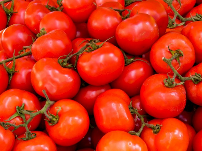 Studi: Buah Tomat Dapat Meningkatkan Kualitas dari Sperma