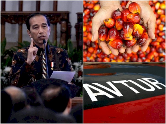 Jokowi: Kita Ingin Indonesia Bisa Produksi Avtur dari Kelapa Sawit