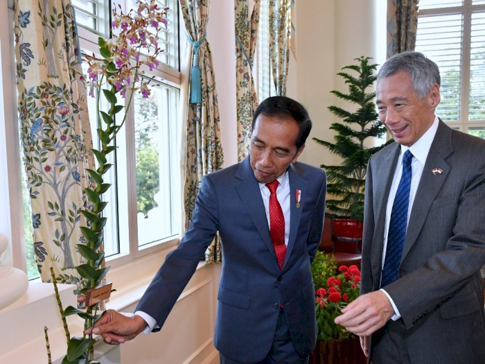 Jelang Dilantik, Jokowi Sibuk Terima Raja dan PM Negara Sahabat 