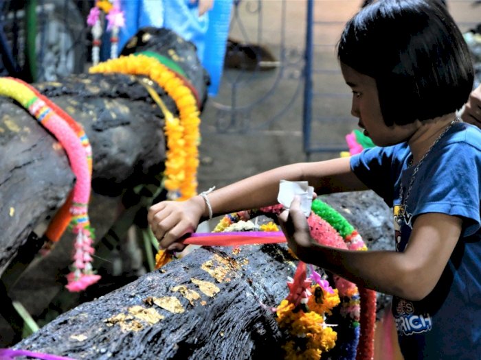 Demam Lotre, Warga Thailand Sembah Pohon Untuk Angka Keberuntungan