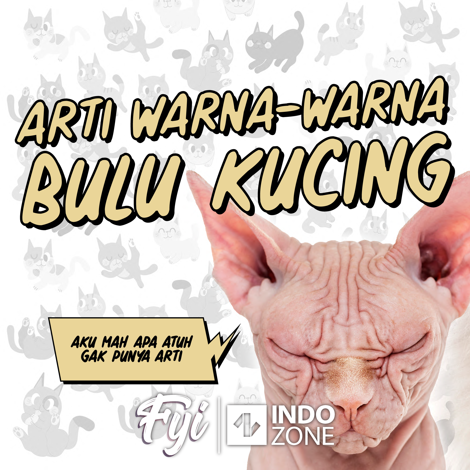 Arti Warna-Warna Bulu Kucing  Indozone.id