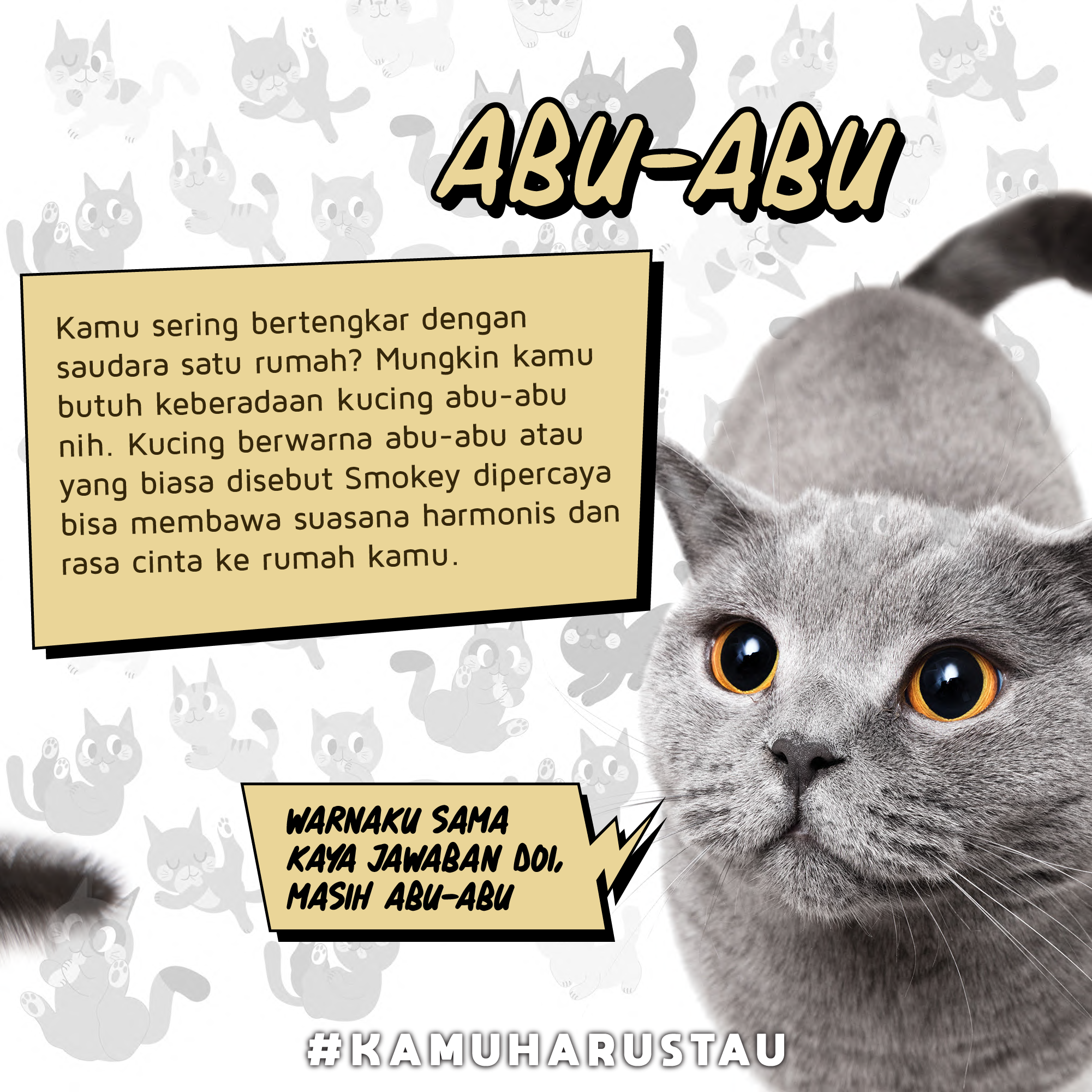 Arti Warna-Warna Bulu Kucing  Indozone.id