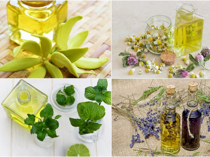 5 Minyak Aromaterapi Favorit Beserta Manfaatnya untuk Kesehatan