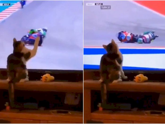 Cuma Karena 'Dicakar Kucing', Pembalap Motor Jatuh Terpelanting!
