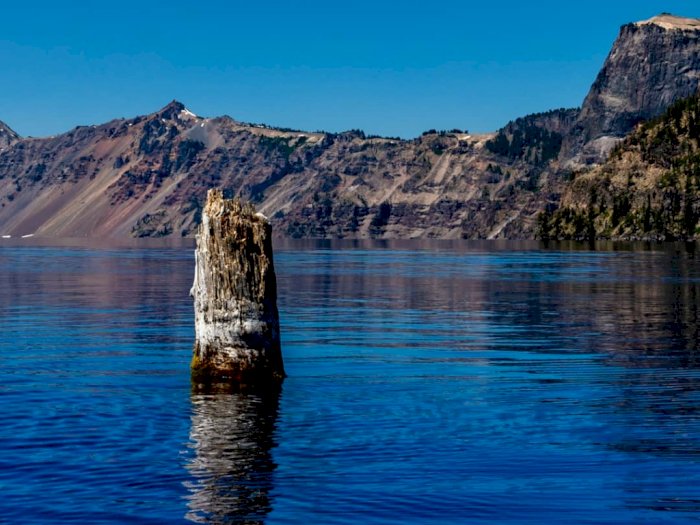 Misteri Kayu Apung 120 Tahun di Oregon yang Jadi Wisata Menarik