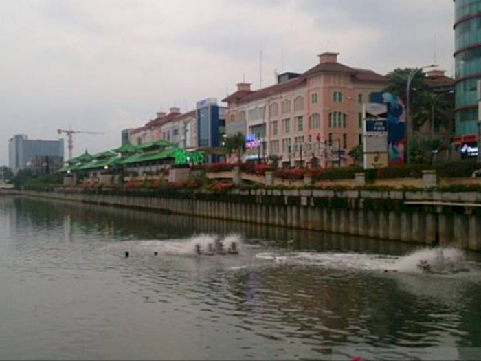 Pakar: Deterjen Jadi Salah Satu Sumber Pencemaran Sungai di Jakarta
