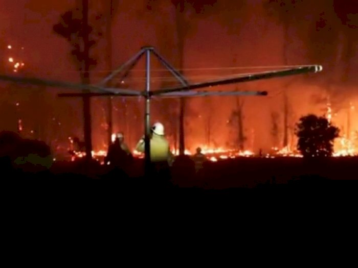 Kebakaran Hutan Makin Parah, Australia Umumkan Keadaan Darurat