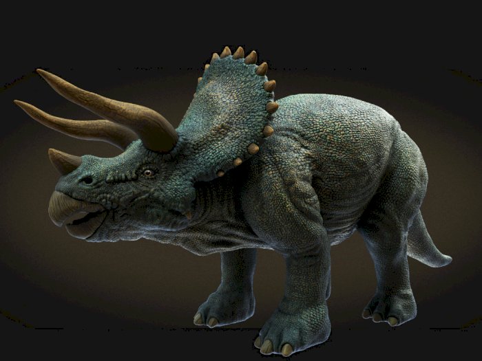 Triceratops, Dinosaurus Herbivora Bertanduk Tiga 