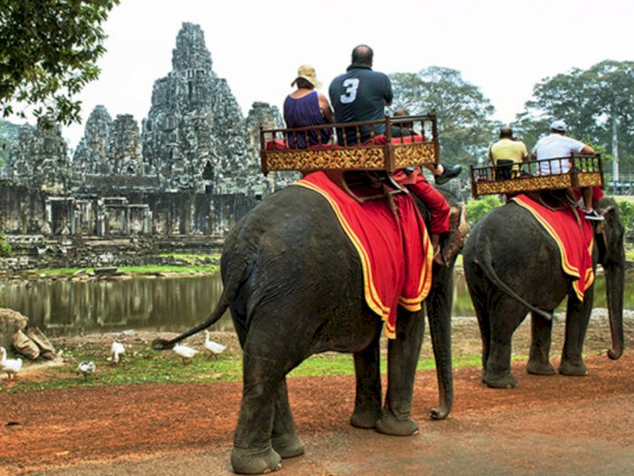 Pemerintah Kamboja Resmi Hentikan Atraksi Naik Gajah di Angkor Wat