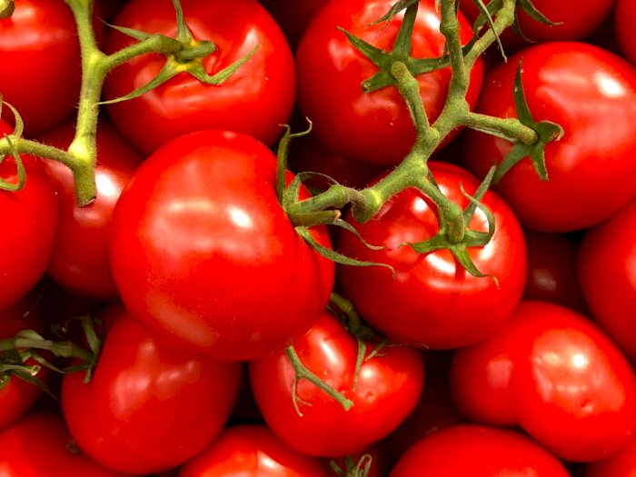 Manfaatkan Masker Tomat Untuk Merawat Wajah dan Ini Cara Membuatnya