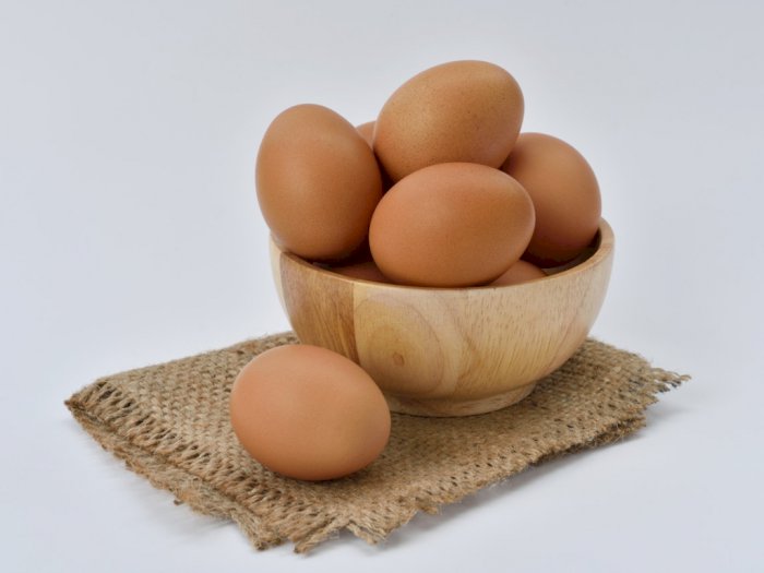 Telur Ayam Kampung Terkontaminasi Kimia dan Plastik yang Berbahaya