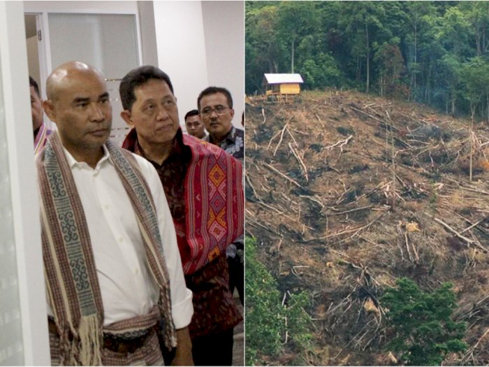 Gubernur NTT Ancam Potong Tangan Pelaku Penebangan Hutan Secara Ilegal