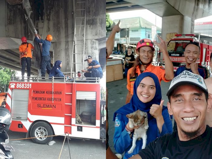 Aksi Heroik Para Petugas Damkar Evakuasi Kucing di Fly Over