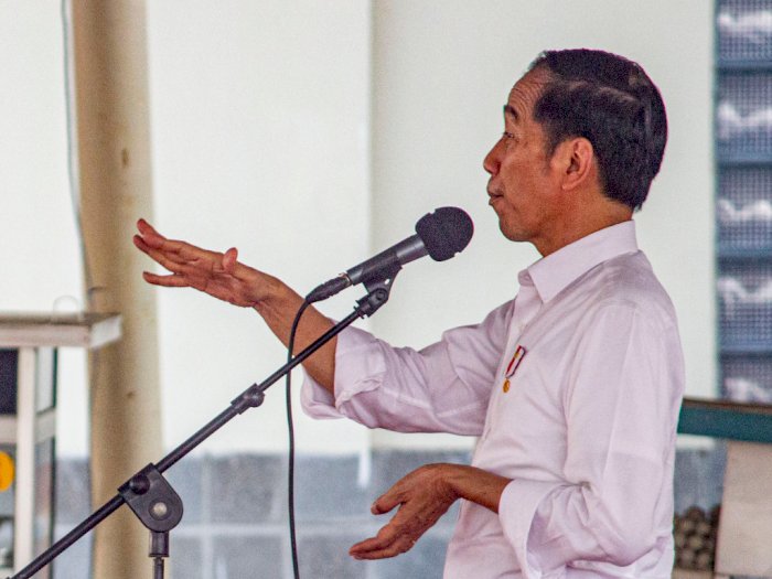 Presiden Jokowi Nilai Golkar Tak Bisa Diintervensi
