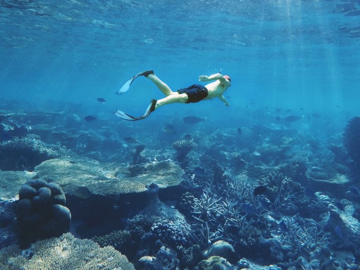 Nggak Pandai Berenang Tapi Pengen  Snorkeling? Perhatikan 5 Hal Ini